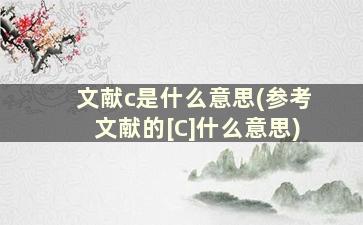 文献c是什么意思(参考文献的[C]什么意思)